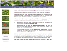 Tablet Screenshot of exkotours.de